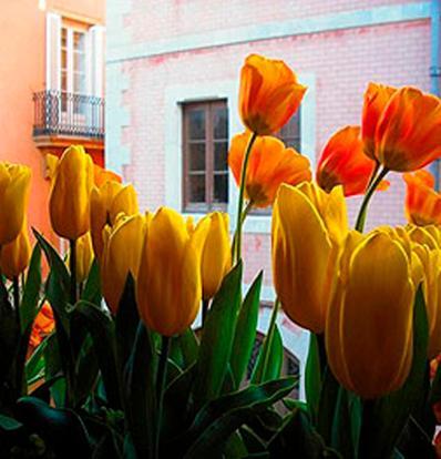 Boutique Hotel Davallada- Adults Only Sitges Exterior photo
